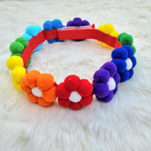 Rainbow Pom Pom Flower Collar